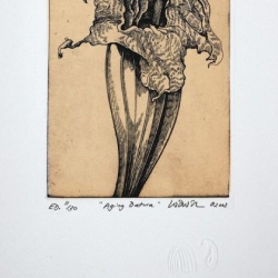 Art Notes: Botany backstories unearthed at open house